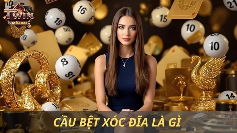 Cầu Bệt Xóc Đĩa Là Gì Và Cách Nhận Biết Cùng Twin68